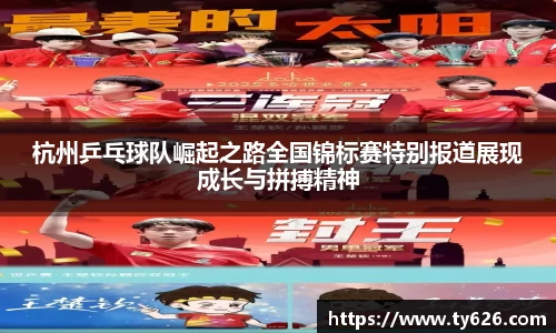 3377体育官网